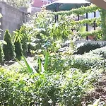 Venis House 3* Σωζόπολη