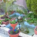 Venis House 3* Σωζόπολη