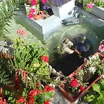 Venis House Σωζόπολη