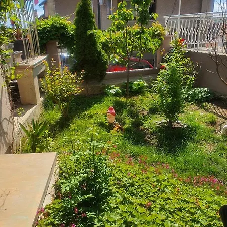 Venis House מלון