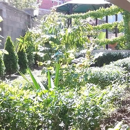 Venis House 3* סוזופול