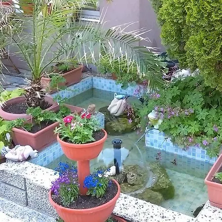 Venis House 3* סוזופול