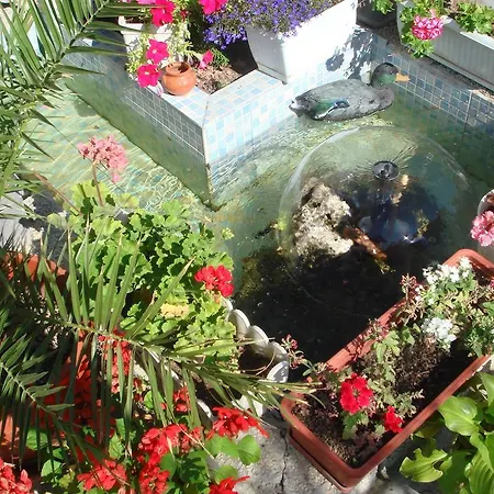 Venis House Szozopol