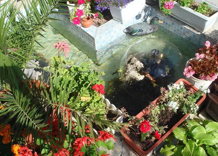 Venis House Süzebolu